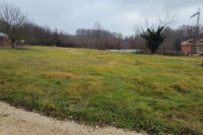 Žminj, okolica, Građevinsko zemljišče, možnost nakupa večje površine