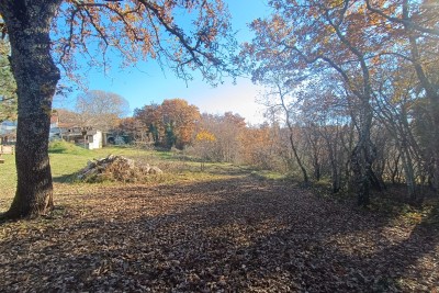 Poreč, okolica, Velika posjed s kućom za renovaciju