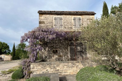 Buje, Umgebung, Luxuriöse venezianische Immobilie an wunderschöner Lage