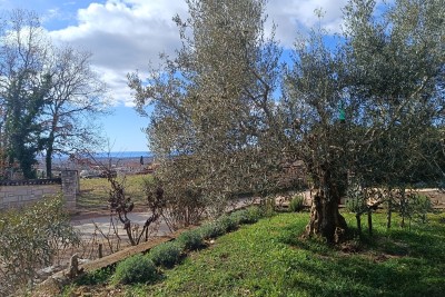 Poreč, dintorni, Terreno edificabile con vista mare