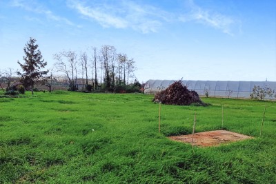 Poreč, dintorni Terreno edificabile al confine della zona edificabile con vista mare
