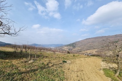 Istra, Motovun - AGENZIA ESCLUSIVA - Terreno edificabile con vista su Motovun