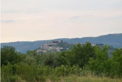 Motovun, Umgebung, Renovierungsobjekt auf dem Hügel mit Blick auf Motovun und die Natur, CHANCE für Investoren