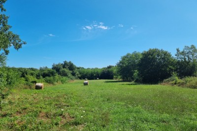Poreč, Baderna - EKSKLUZYWNA AGENCJA - Działka budowlana z niebudowlaną, 20 km od morza