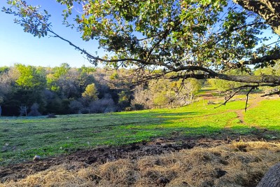 Poreč, dintorni, Terreno edificabile ai margini dell'abitato