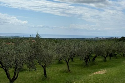 Poreč, okolica, Građevinsko zemljišče s pogledom na morje, 10 km od morja