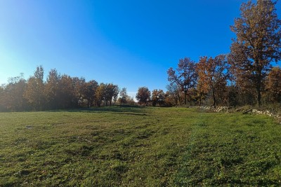 Poreč, dintorni, Terreno edificabile ai margini di un piccolo villaggio