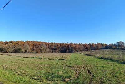 Poreč, okolica, Velika posjed s kućom za renovaciju