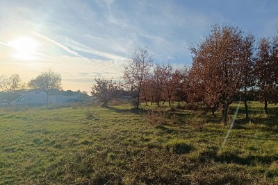 Poreč, okolí, stavební pozemek na krásné lokaci 6 km od moře
