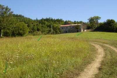 Poreč, Karojba, okolica, Duża działka 12550 m2, 1900 m2 budowlane, 20 km od morza