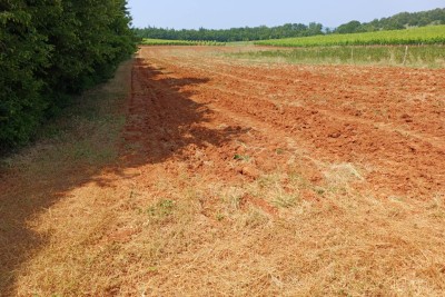 Poreč, Vižinada, okolí, Prostorný zemědělský pozemek, 400 m od sídla