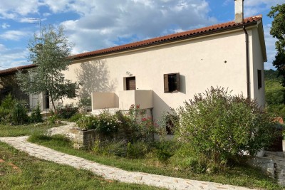 Istra, Grožnjan, Casa bifamiliare con 4 unità abitative e giardino