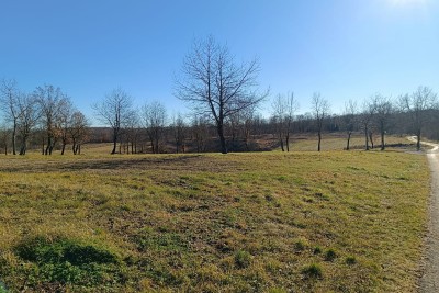 Poreč, okolí, stavební pozemky na krásné klidné lokalitě