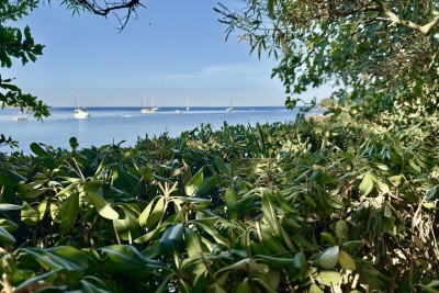 UMAG, ISTRA, KUĆA SA DIREKTNIM PRISTUPOM PLAŽI I MORU!