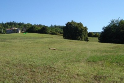 Poreč, Karojba, okolí, Velký pozemek 12550 m2, 1900 m2 stavební, 20 km od moře