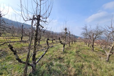 Istra, Motovun - AGENZIA ESCLUSIVA - Terreno edificabile con vista su Motovun
