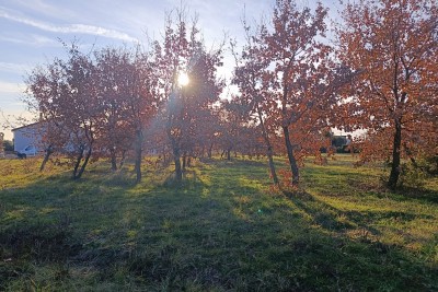 Poreč, okolí, stavební pozemek na krásné lokaci 6 km od moře