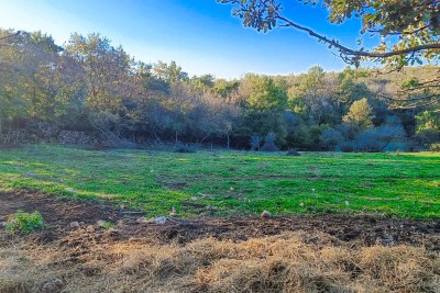 Poreč, dintorni, Terreno edificabile ai margini dell'abitato