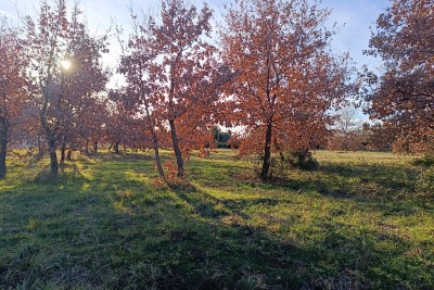 Poreč, dintorni, Terreno edificabile in una bella posizione a 6 km dal mare