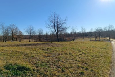 Poreč, dintorni, Terreni edificabili in una splendida posizione tranquilla