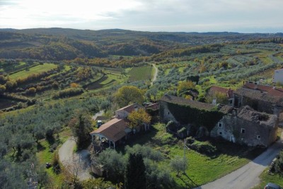 Buje, dintorni, Splendida villa da ristrutturare, OCCASIONE per investitori